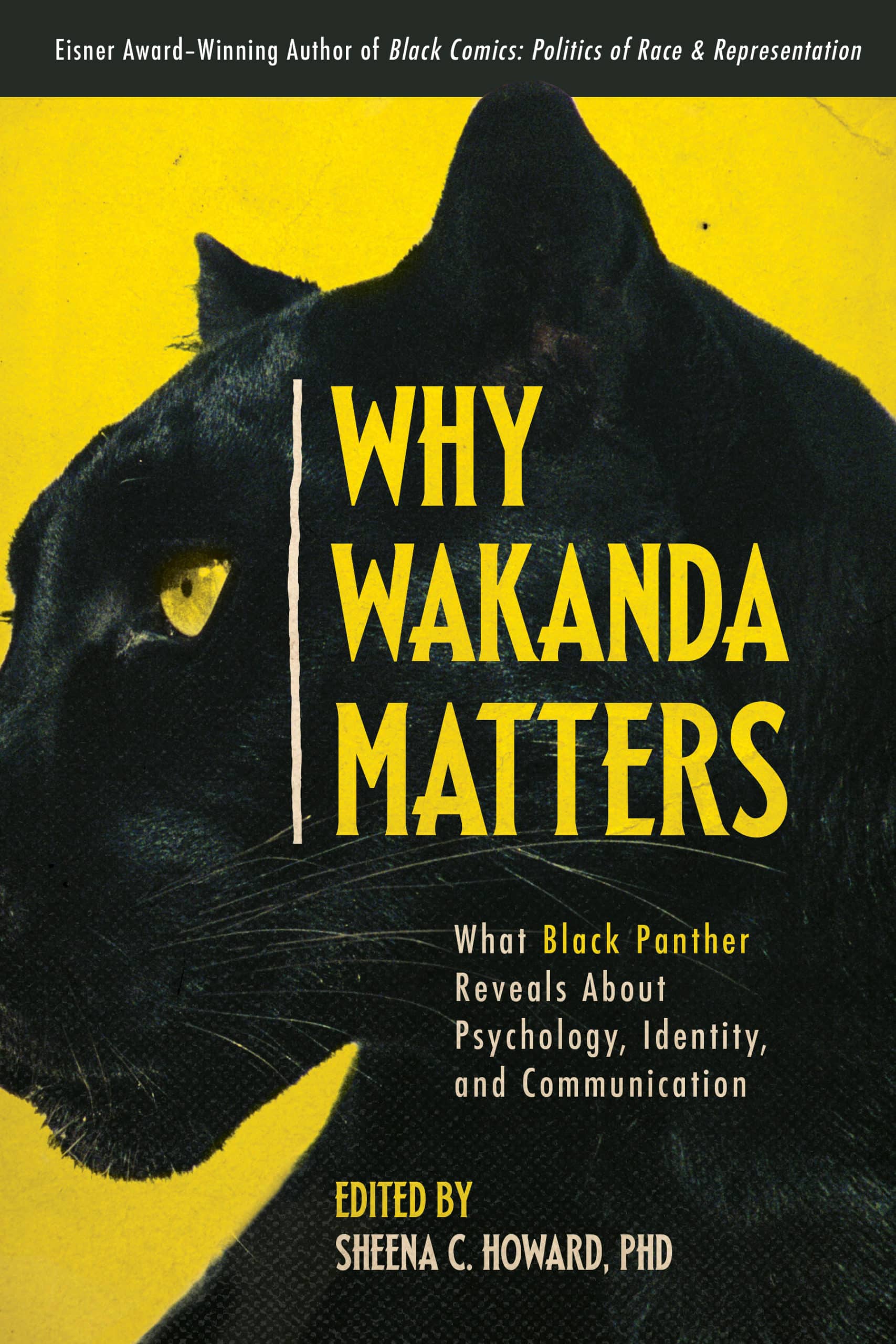 Book cover of Why Wakanda Matters, edited by Sheena C. Howard